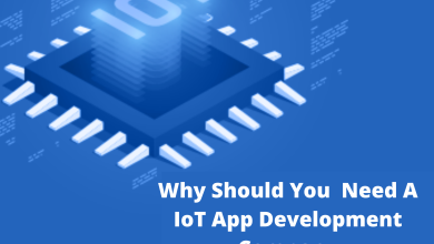 IoT application development company