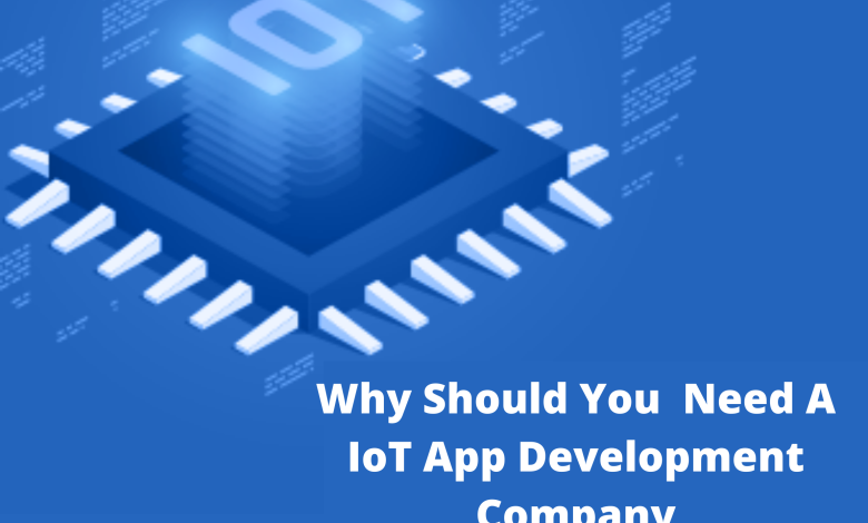 IoT application development company