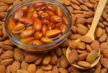 12 Soaked Almond Benefits That Help Weight Loss and Boost Energy