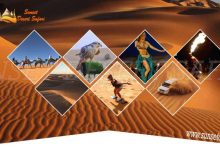 Desert Safari Options & Tips