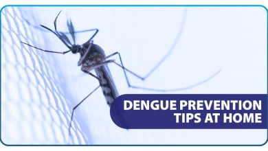 prevention of dengue