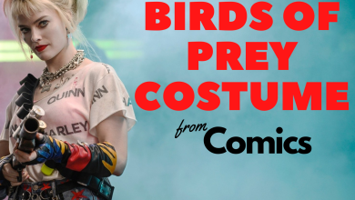 Birds of Prey Harley Quinn Costume from Comics