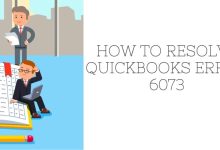 QuickBooks error code 6073