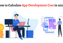 How to Calculate App Development Cost in 2023?