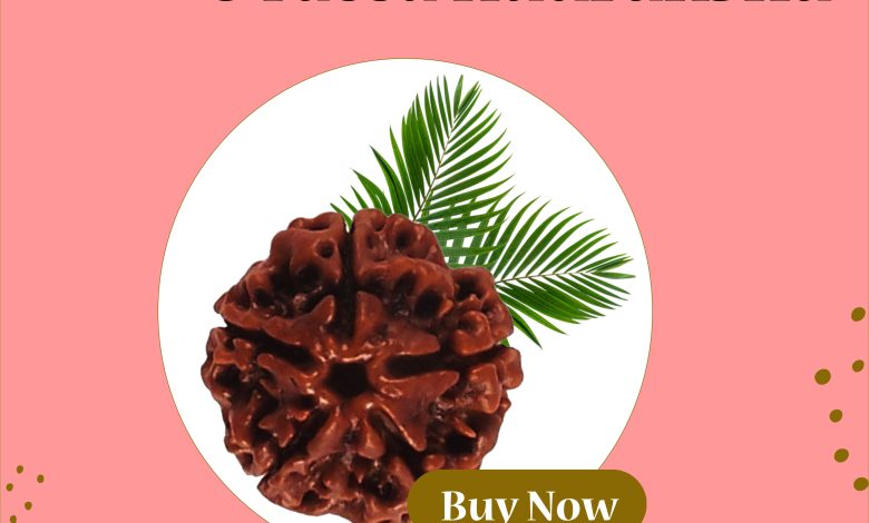 Five faced Rudraksha