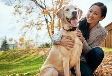Top 8 Best Ways to Keep Your Dog Warm & Safe This Winter