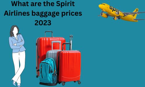 Spirit Airlines baggage prices 2023
