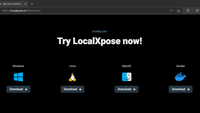 LocalXpose